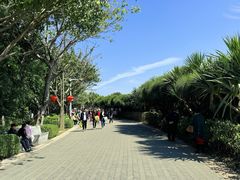 -深圳湾公园(南山区)