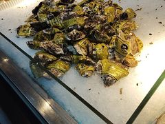-圣罗巴海鲜烤肉自助(佳兆业店)
