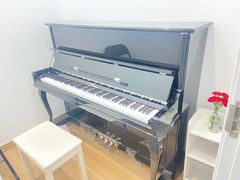 -珠江钢琴艺术中心(文一路店)