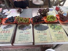 -马陆小张葡萄园农家乐
