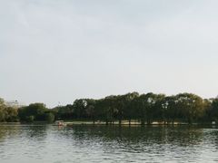 -森林公园(尖草坪区)