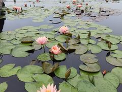 -中国死海旅游度假区