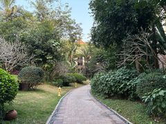 -西双版纳融创皇冠假日度假酒店