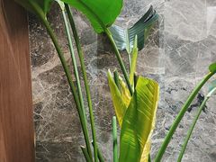 -尚宴(盛世广场·食尚街店)