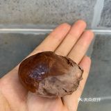 榴莲核一定不要扔掉好吗