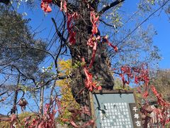 -水峪民俗村