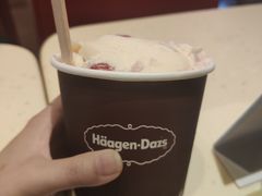-哈根达斯(龙湖时代天街店)