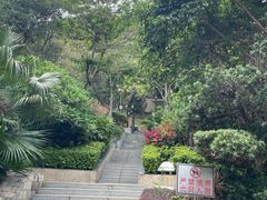 -小南山公园