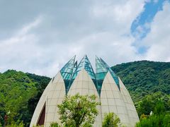 -韶关经律论国际酒店温泉