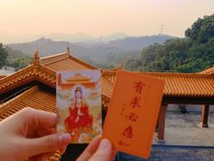 -深圳仙湖植物园