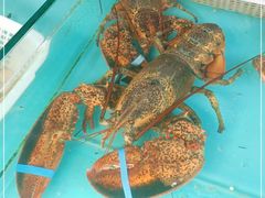 -桔子海鲜烧烤大排档(台东店)
