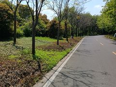 -同里国家湿地公园