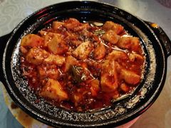 -陈麻婆豆腐总店