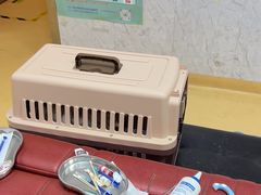 -瑞派天宁宠物医院·猫科·异宠中心