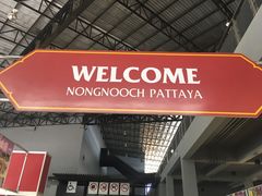 -东芭乐园