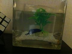 桔子酒店精选(西藏北路店)-桔子酒店(上海西藏北路地铁站店)