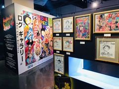 -东京塔海贼王主题公园