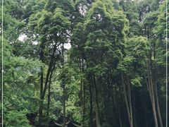 -青城山
