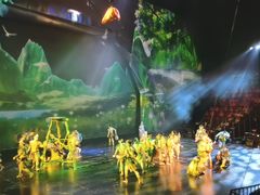 -重庆国际马戏城