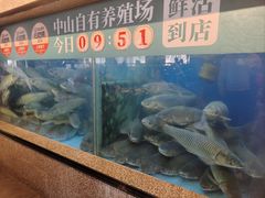 -淘米捞·米汤脆鲩鱼火锅(福田皇岗店)