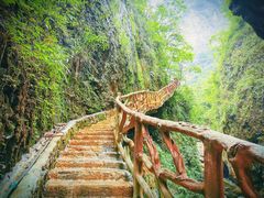 -鹿院坪生态旅游景区