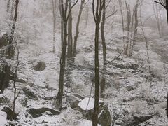 -老味道1992(武当山店)