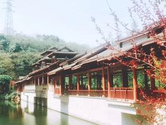 -重庆彩云湖湿地公园