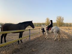 -月河湾马术俱乐部(朝阳店)