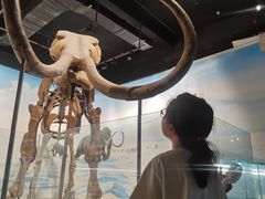-辽宁古生物博物馆