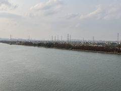 -海鸥岛