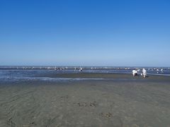 -启东黄金海滩景区