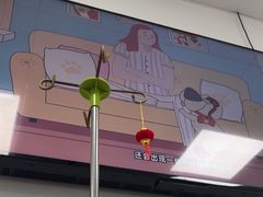 -中国农业大学动物医院