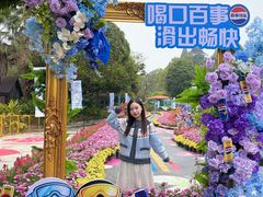 -南宁市凤岭儿童公园