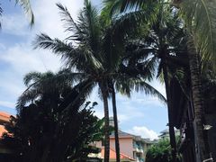 -三亚亚龙湾雅高美爵酒店