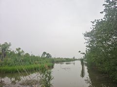 -同銮特种养殖场·龙虾垂钓