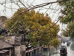 -乌镇景区