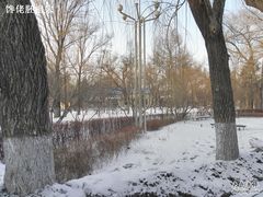 -哈尔滨文化公园