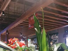 -管氏翅吧(台湾街店)