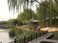 -北坞公园