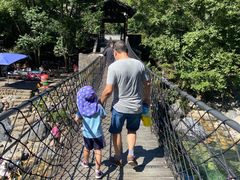 -石台牯牛降景区