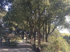 -上海方塔园
