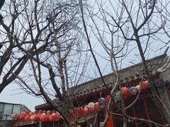 -正阳书局(西四南大街店)