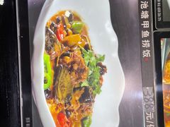 -宝燕壹号(徐汇店)