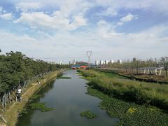 -皇粮浜公园