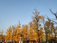 -两江幸福广场