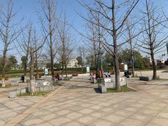 -滨江生态公园