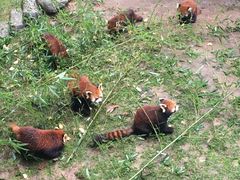 -西安秦岭野生动物园