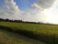 -光明小镇欢乐田园