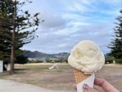 -Dooley's Premium Ice Cream