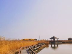 -宁波杭州湾国家湿地公园